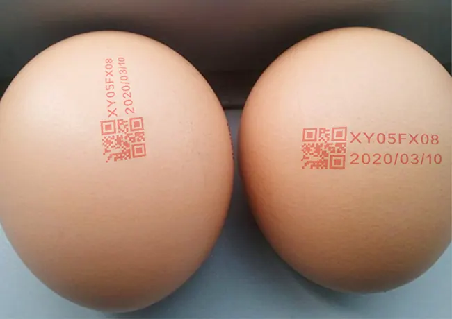 Eggs coding – detail image 1