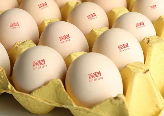 Eggs coding – detail image 3