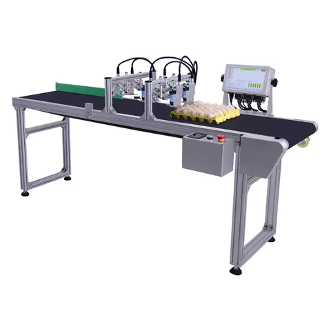 MF-T6 Egg Coding and Marking Solution – product photo